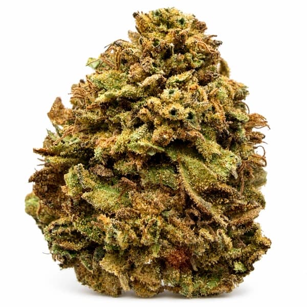 LAVENDER KUSH at Fort York Cannabis