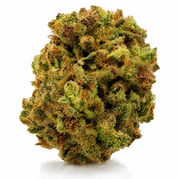 APPLE KUSH at Fort York Cannabis