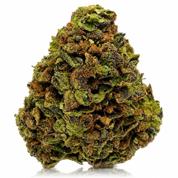 CHOCOLATE KUSH at Fort York Cannabis