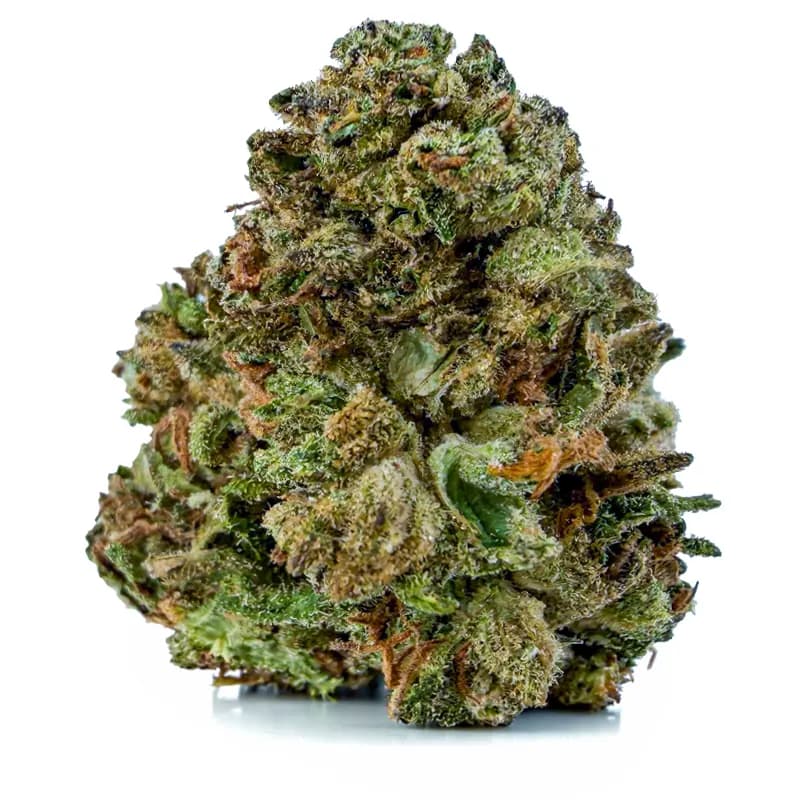 ROYAL GORILLA at Fort York Cannabis