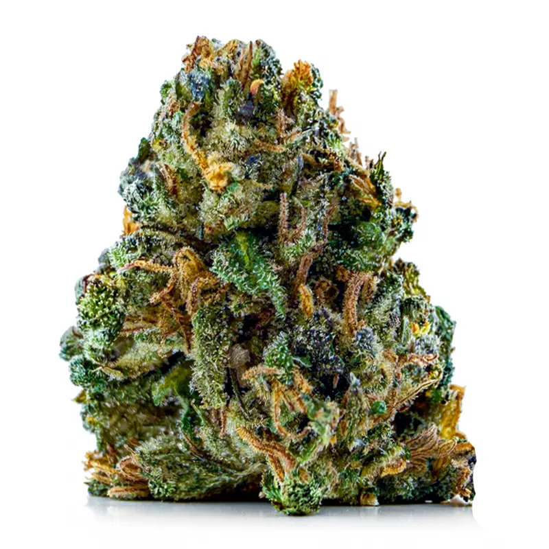 PINK STICKY ALIEN at Fort York Cannabis