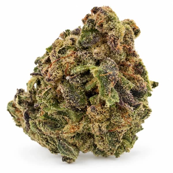 GAS MONKEY at Fort York Cannabis