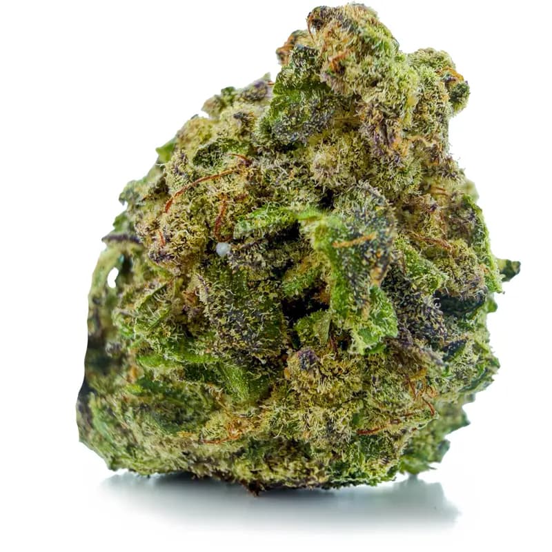 GAS MONKEY at Fort York Cannabis