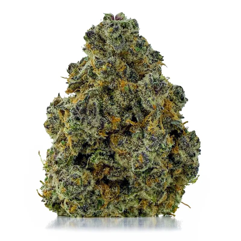 BC KUSH at Fort York Cannabis