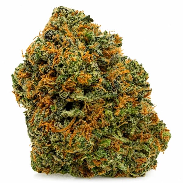 BLUEBERRY JUNKY at Fort York Cannabis