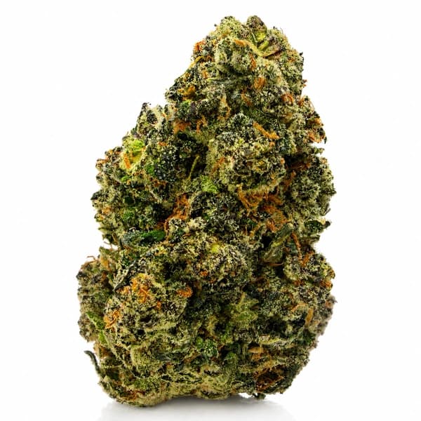 PURPLE DRAGON (S) at Fort York Cannabis