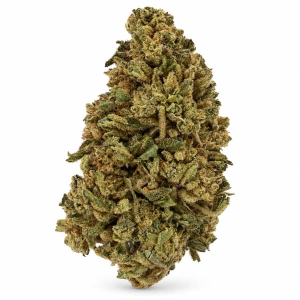 GORILLA BUTTER at Fort York Cannabis