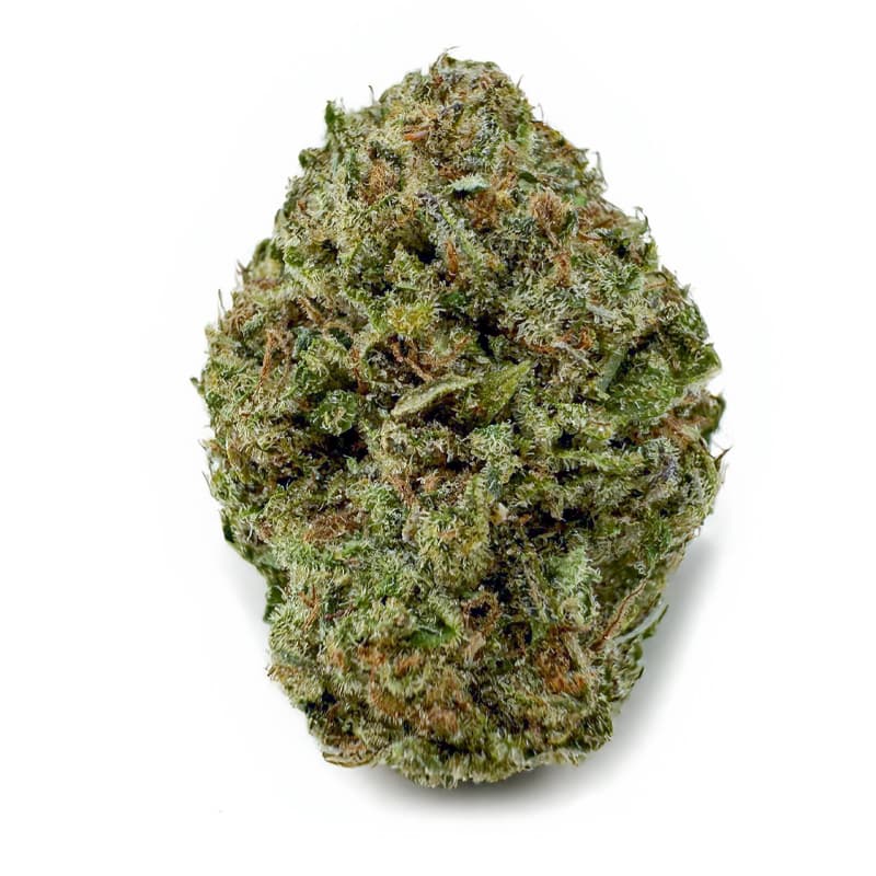 OG KUSH (AA) at Fort York Cannabis