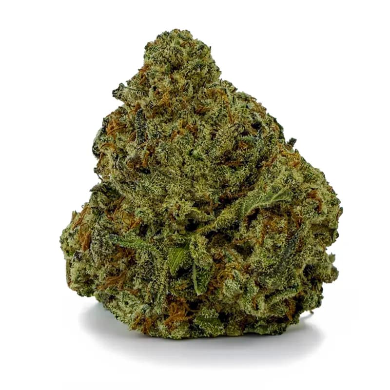 SLURRICANE at Fort York Cannabis