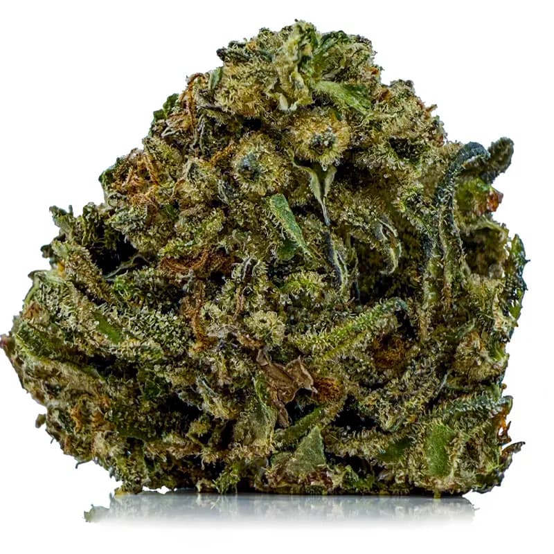 QUANTUM KUSH at Fort York Cannabis