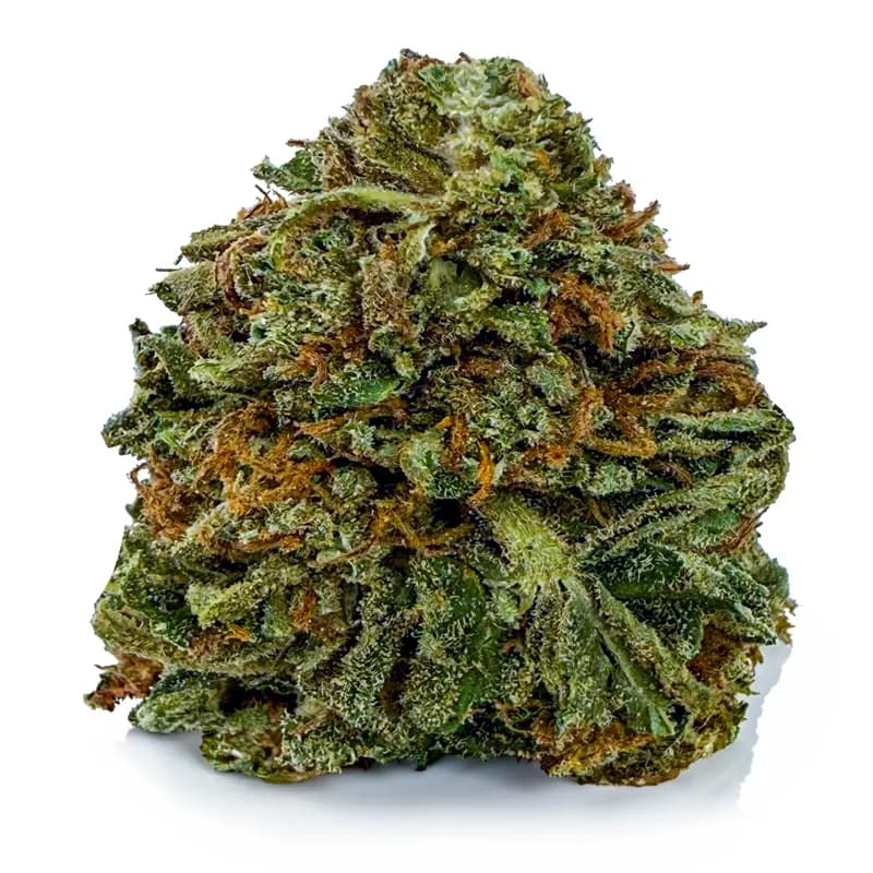 VANILLA ICE KUSH at Fort York Cannabis