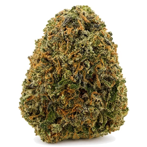 DEATH BUBBA at Fort York Cannabis