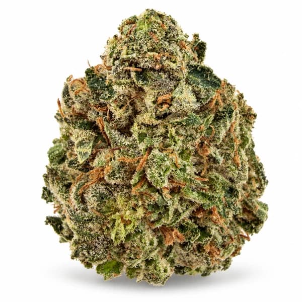 PINK ROCKSTAR at Fort York Cannabis