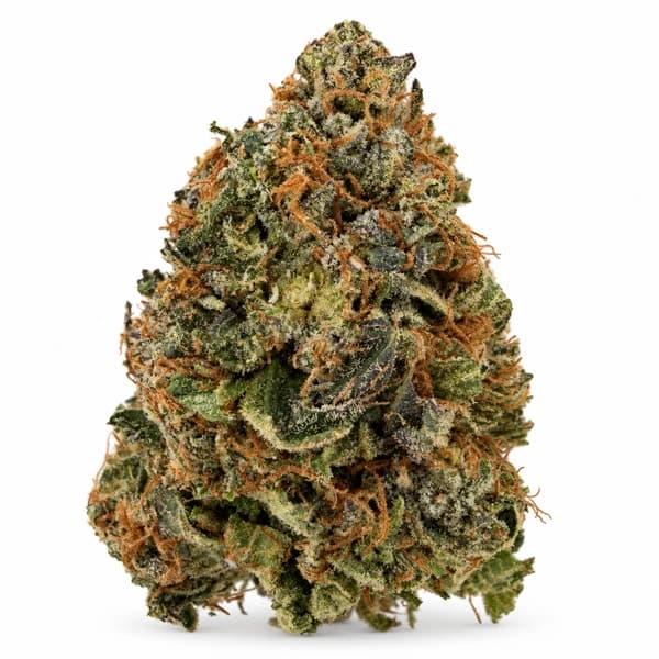 ELMO STICKY PINK at Fort York Cannabis