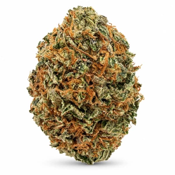PINK GODZILLA at Fort York Cannabis