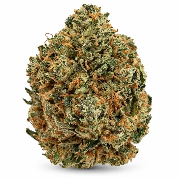 TUNA at Fort York Cannabis