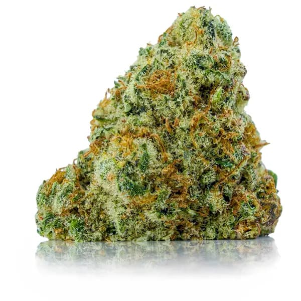 PINK HOLY GRAIL at Fort York Cannabis