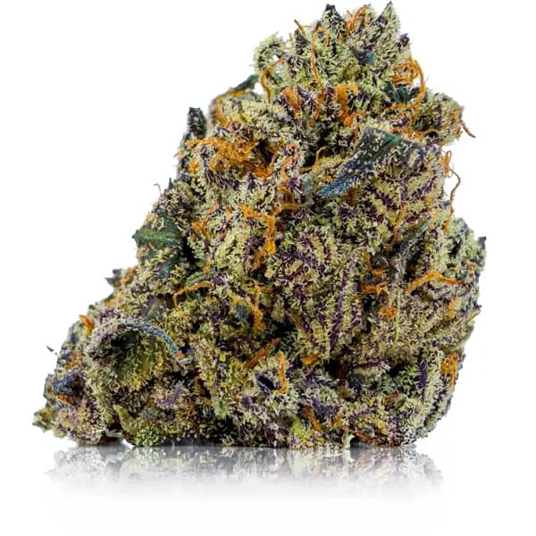 WHITE TRUFFLE at Fort York Cannabis