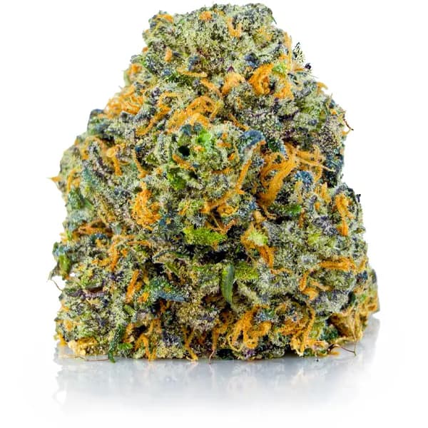 FORBIDDEN FRUITS at Fort York Cannabis