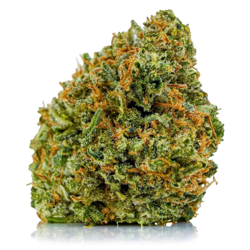 PINK SKYWALKER at Fort York Cannabis