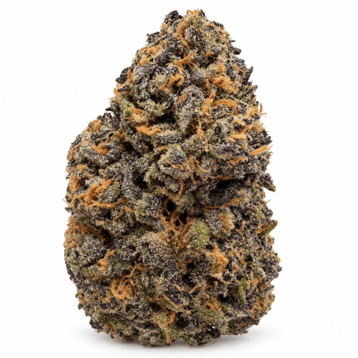 PURPLE JEALOUSY at Fort York Cannabis