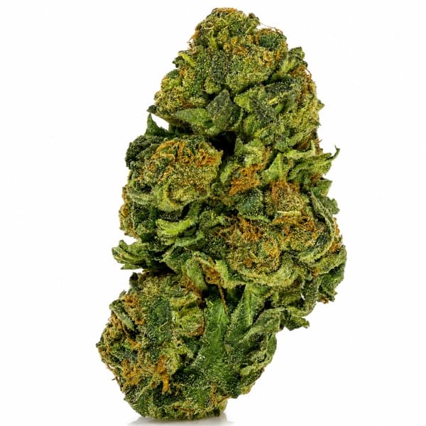 GRAPE FRUIT (S) at Fort York Cannabis