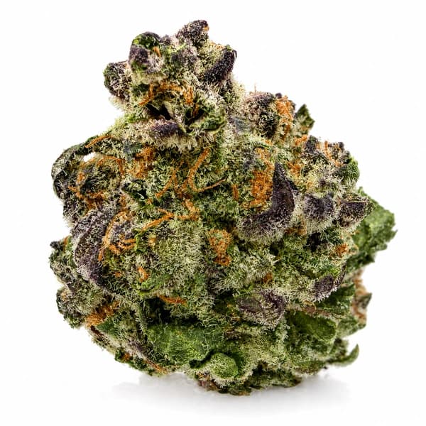 PURPLE GRAPES (S) at Fort York Cannabis