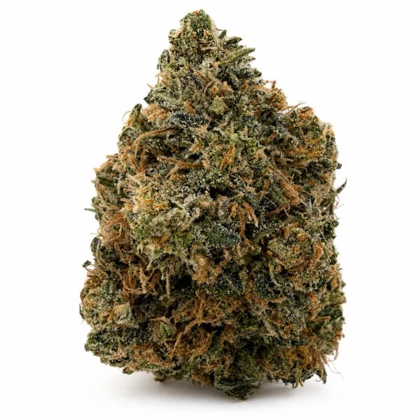 ISLAND PINK at Fort York Cannabis