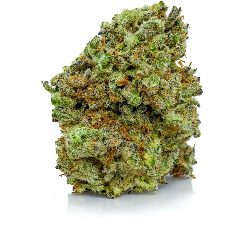 PINEAPPLE HAZE at Fort York Cannabis