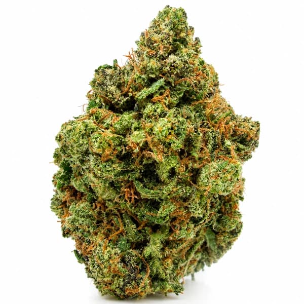 CHOCOLATE CHIP COOKIES (S) at Fort York Cannabis
