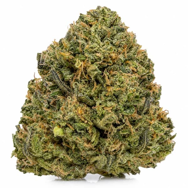 CRACK PINK at Fort York Cannabis