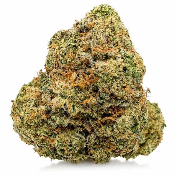 COSMIC COOKIES at Fort York Cannabis