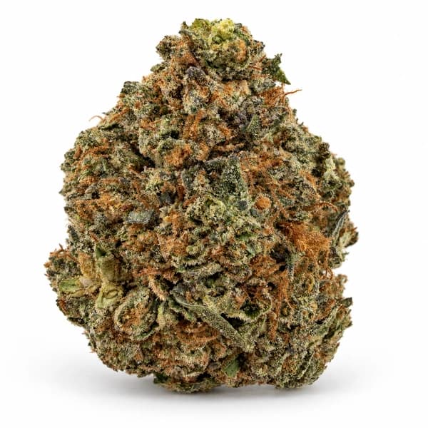 BLACK GAS at Fort York Cannabis