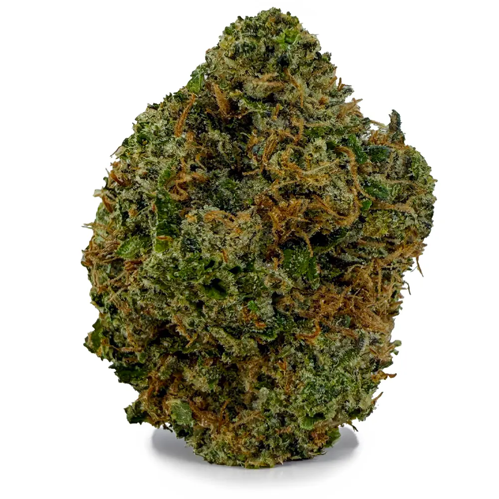 KING LOUIS XIII at Fort York Cannabis