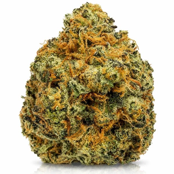 RED CONGOLESE at Fort York Cannabis