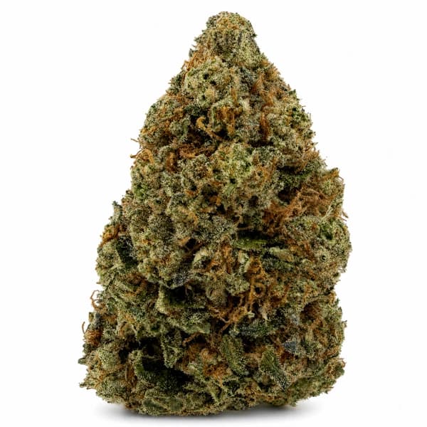 ALIEN SMACK PINK at Fort York Cannabis