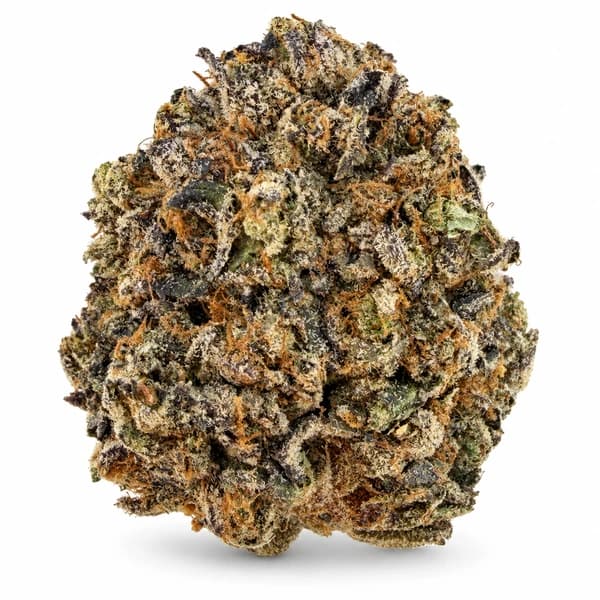 BLUE WAGU at Fort York Cannabis