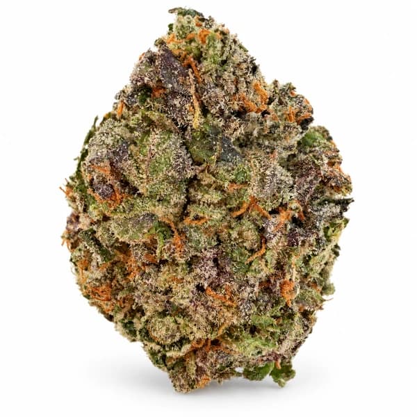 ASTRO PINK OG at Fort York Cannabis