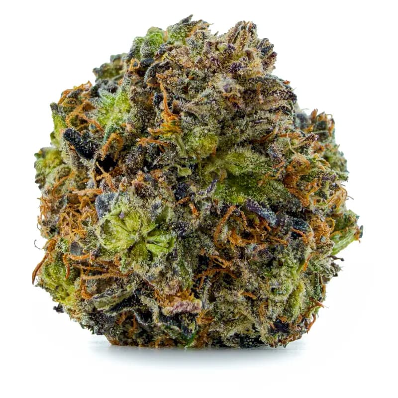 BUBBA STAR at Fort York Cannabis