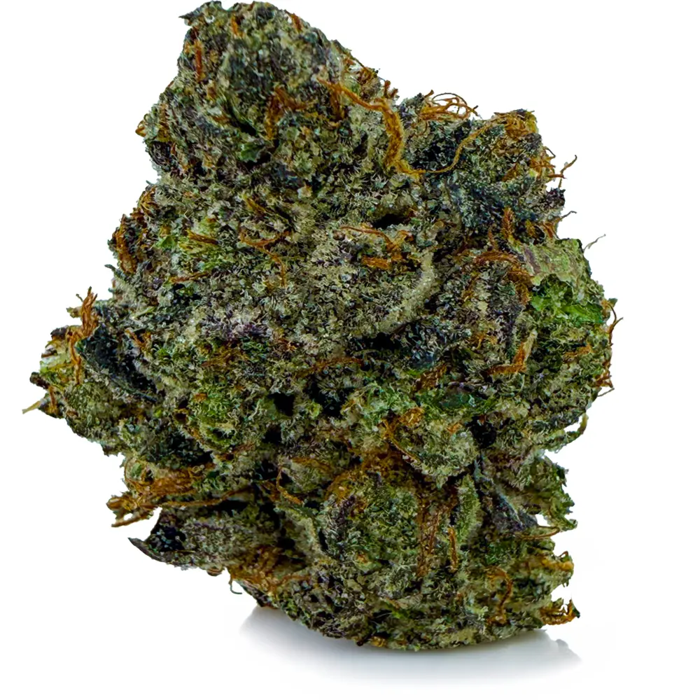 PURE MICHIGAN at Fort York Cannabis