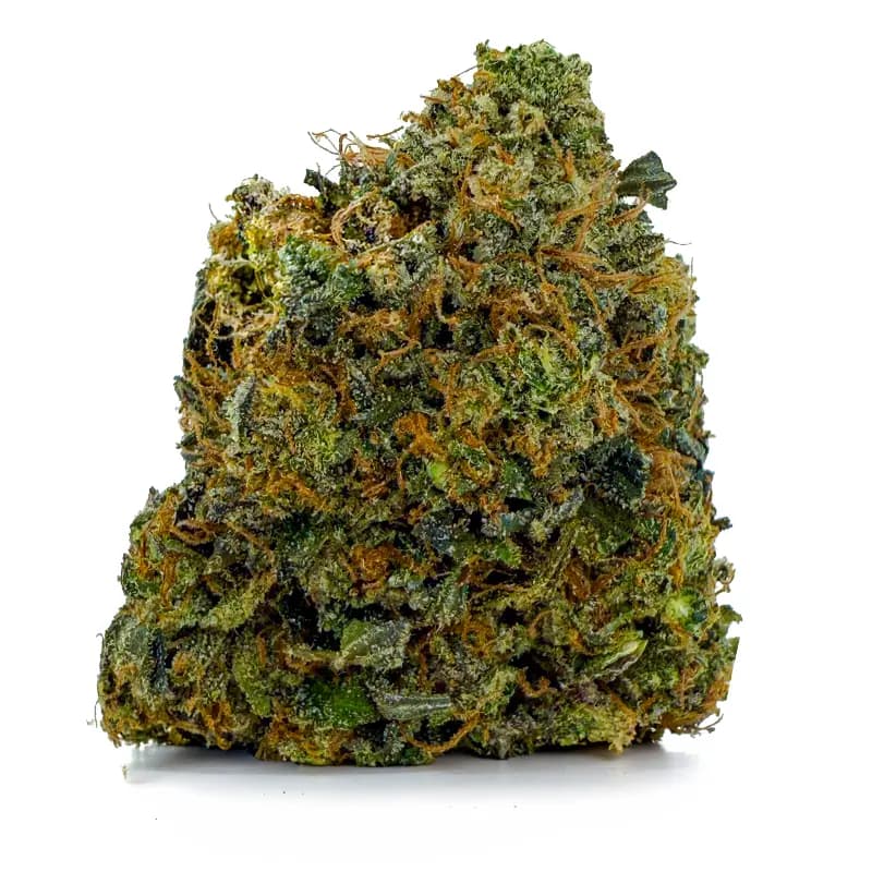 24K GOLD at Fort York Cannabis