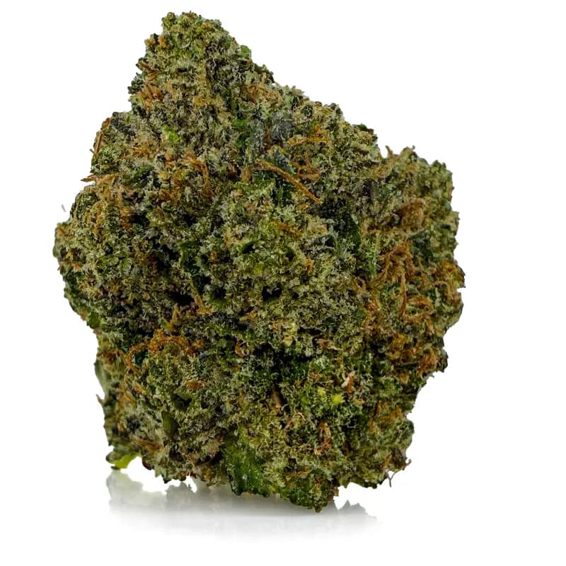PINK STARKILLER at Fort York Cannabis