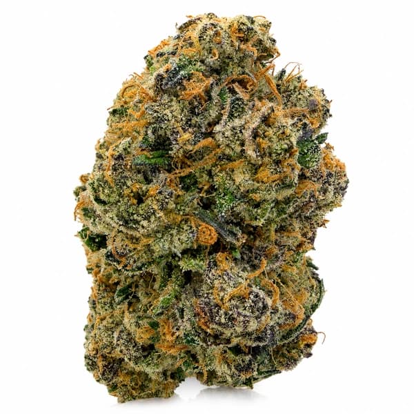 TEQUILA SUNRISE (S) at Fort York Cannabis