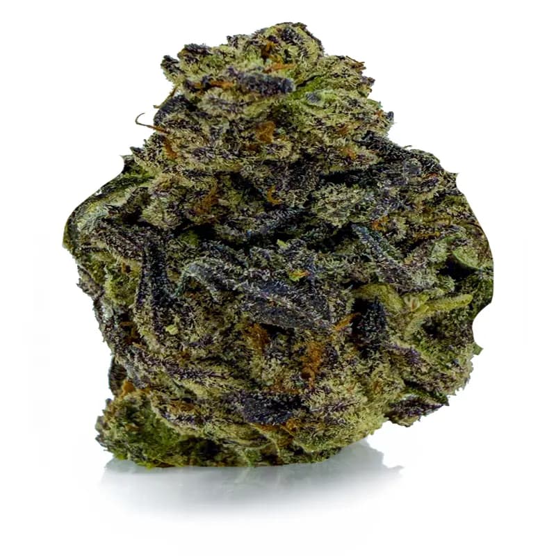 SUGAR COOKIES at Fort York Cannabis