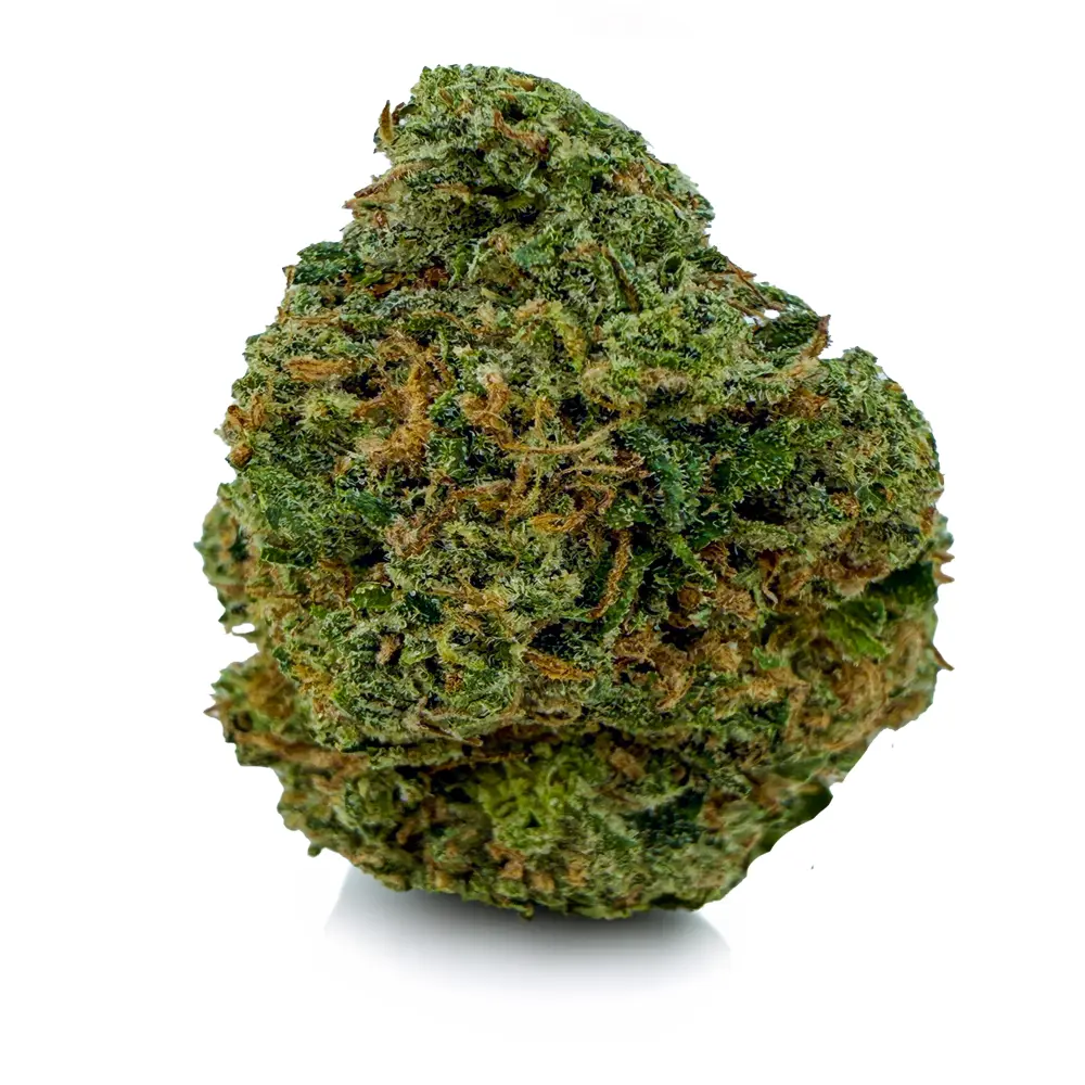 DEATH VALLEY at Fort York Cannabis