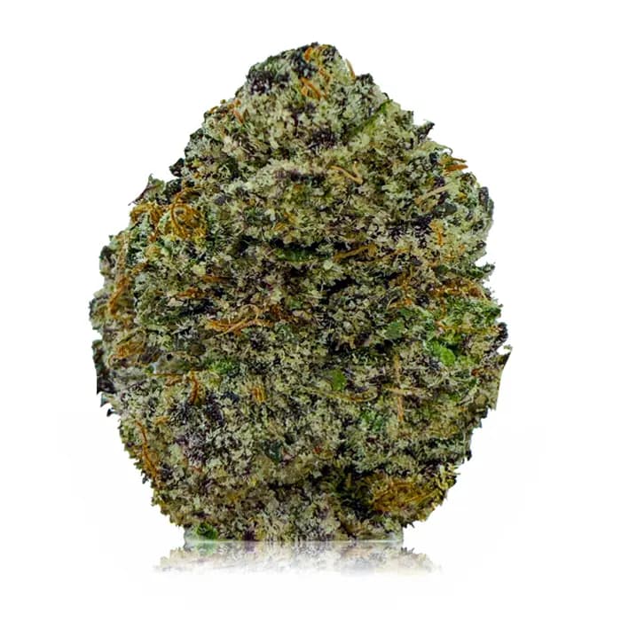 PINK ICKY STICKY at Fort York Cannabis