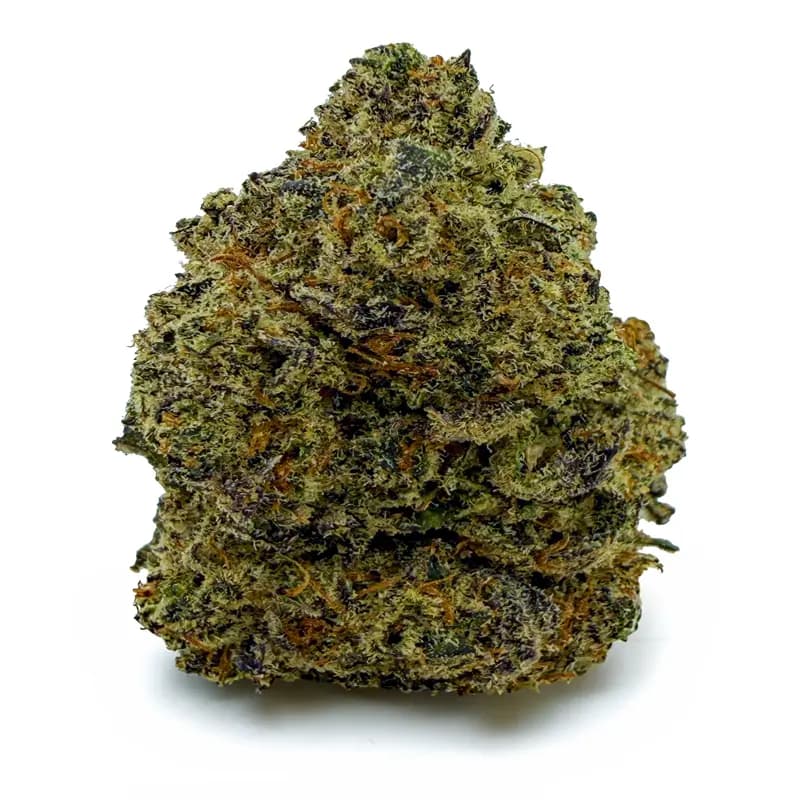 PURPLE SKUNK at Fort York Cannabis