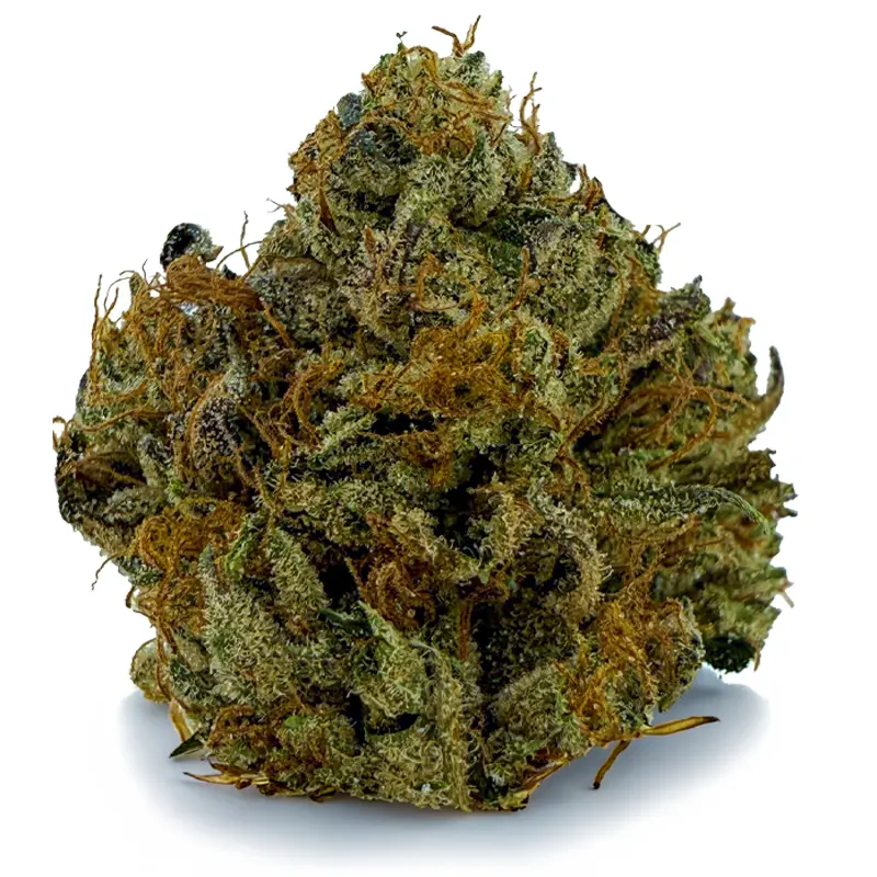 PINK DEATH at Fort York Cannabis