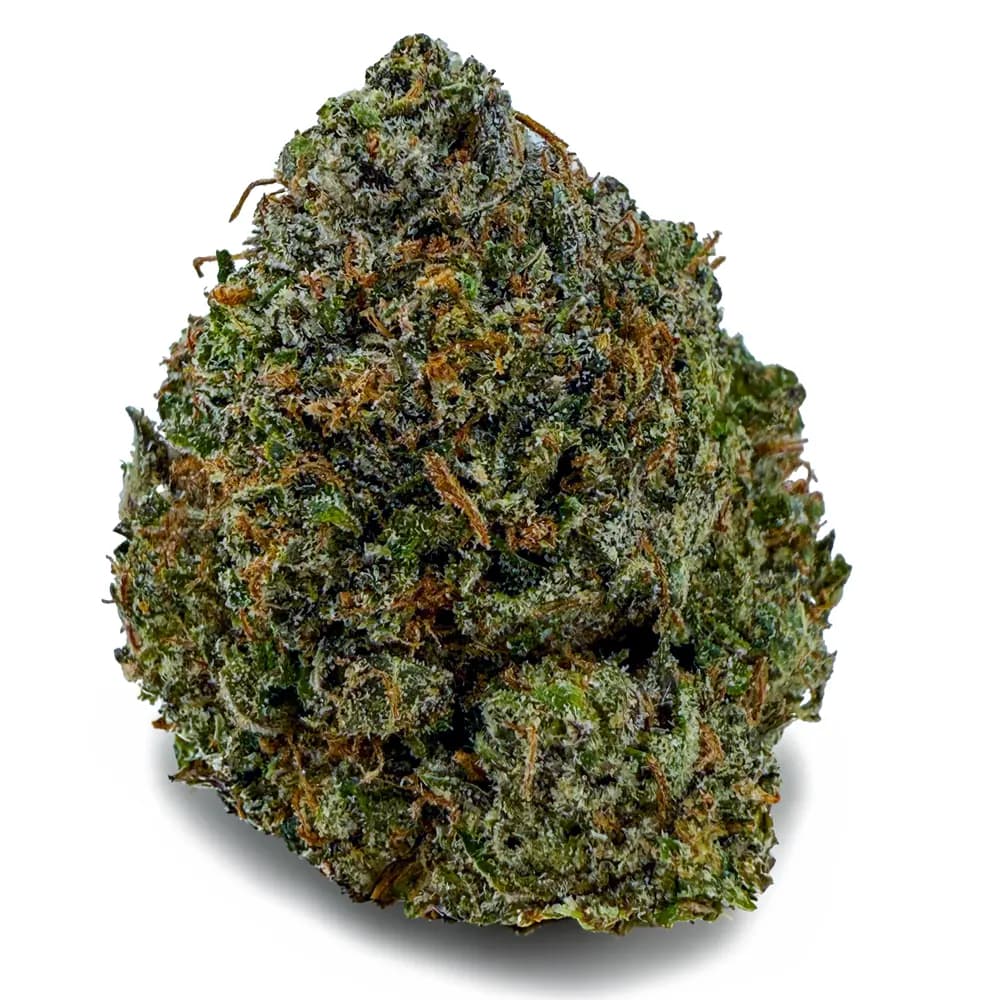 PINK GODZILLA at Fort York Cannabis