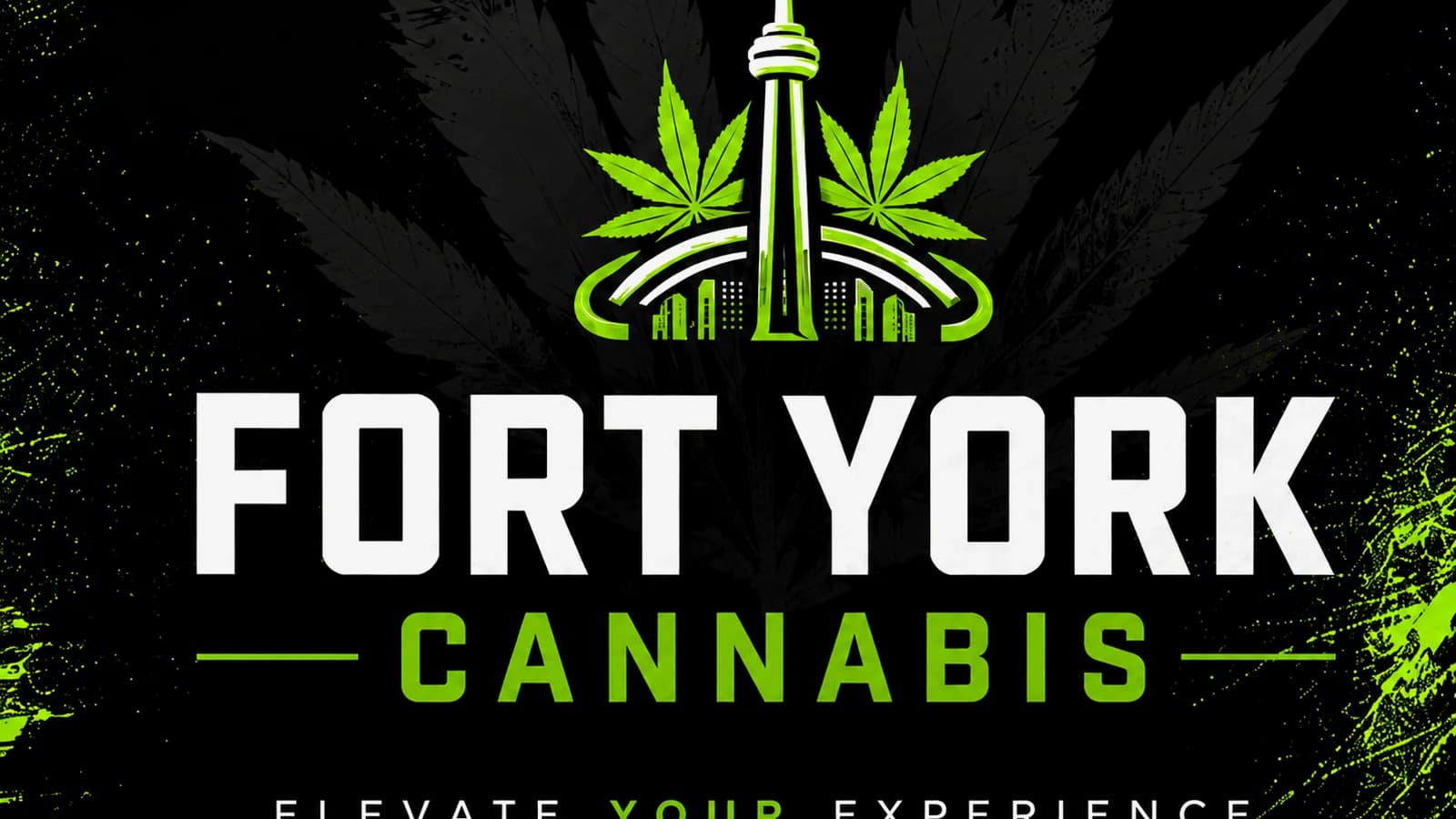 Downtown Toronto Weed Dispensary